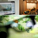 왕숙천변(하천영상감시용) | 안양시 팸투어 * 안양시청 U-통합 상황실 &amp; 안양천 생태이야기관