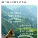 2021년 말복은 8월10일 이미지