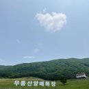 라일락목장 이미지