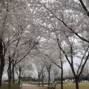 여성회관뒤 이미지