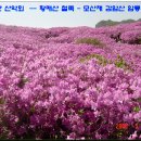 버스정류장 06-019 이미지