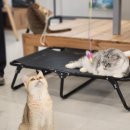 예뻐질:개&고양이카페 | 구미 인동 예뻐질개&amp;고양이카페 개냥이 천국