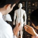 지본한의원 이미지