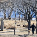 철새보는집 | 남양주 갈만한곳, 다산 정약용 유적지 산책 &amp; 철새 고니가 머무는 다산생태공원