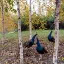 새아침공원 이미지