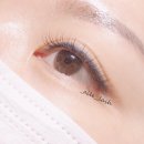 D엘 래쉬 네이버블로그