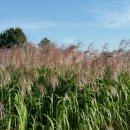 추경농장 이미지