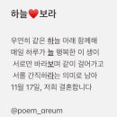 늘,예쁜개 이미지