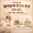 영양핑다이어트