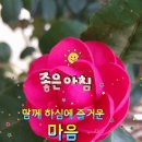 인생 특수한 나이 이미지