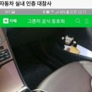 그랜저동호회 인증 대참사 이미지