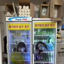 진영이네 이미지