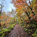 대현2리 이미지