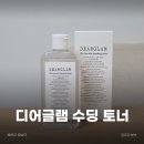 753 | 수딩케어 속건조 잡고 피부결 살아난 디어글램 753 시카 토너 솔직 후기