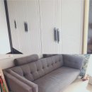 처분이사 이미지