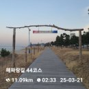 해파랑길 41, 42, 43, 44코스(2025.03.21, 금) 이미지