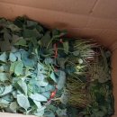 종순농장 이미지