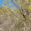 가북면사무소 이미지