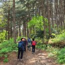 실레이야기길(봄내길 1코스) 이미지