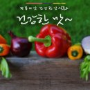 무지개푸드 이미지