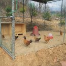 반곡 농장 이미지