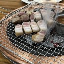 제주도야지 이미지