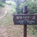 세자트라(방문자센터) 이미지