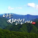 [감상 후기] 5개월 아기 키우는 사람이 본 &lt;폭싹 속았수다&gt; 초반 리뷰 (쌰라웃 투 마이 마더)