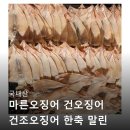 건오징어 건조오징어 한축 말린 중10마리 600g 원양산 오징어 술안주로 딱좋은 구매 후기 보고 담았어요
