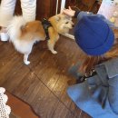 (더)조은상점 씨유 운정호수공원점 | 진 또 제 🏝️ [2023.01] feat.한라 🏔️