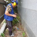 시청남로 이미지