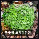 2724 | 일산 동구 맛집 목구멍 고양장항점 장항동 고기 맛집으로 정평