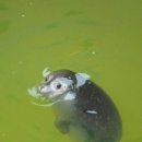 (주)양지 이미지