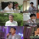 진성 티브이데일리