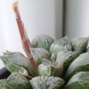 분동농장 이미지