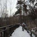 관악산 무장애숲길 | 관악산 무장애숲길