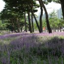 수원-0003 이미지