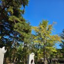 홍길동목장 | 강원도 2박3일 여행코스 후기(#3일차) 강원도 가볼만한 곳, 대관령 양떼목장♥