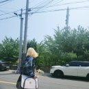 애견카페 펍 곰곰 | [포항여행] 애견카페 펍 곰곰 다녀왔어요