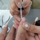 네일비비오