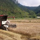 안성면115 이미지