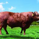 덕풍3농장 이미지