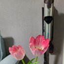 파머스초이스