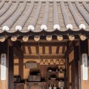 고양들소리 이미지