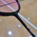 아펙스 | 배드민턴라켓 명검의 진화, 탄력+안정감 모두 잡은 아펙스 파워스턴1000 시타 후기