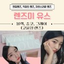 자연스러운 데일리 렌즈 면접 직장인 렌즈 추천 렌즈미 유스 쵸코 그레이 블랙