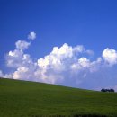 천북농장 이미지