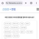 멘토라이프