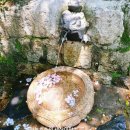 태종대 두꺼비약수터 이미지