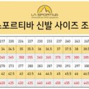 암벽화 Daum카페